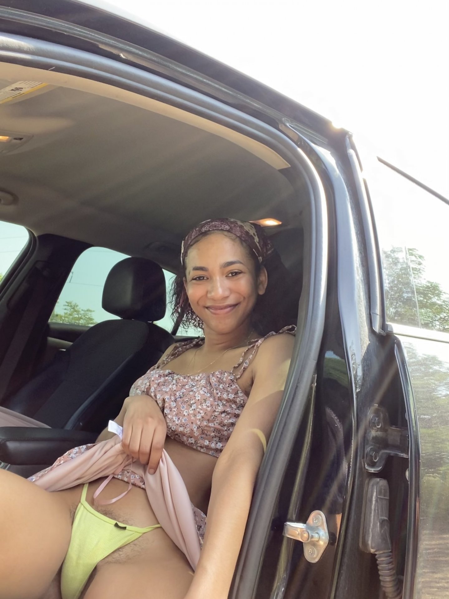 FelineGuilloux de Haut-Rhin, France